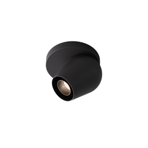 Intra Lighting Pixy C/W Spot Mat Zwart