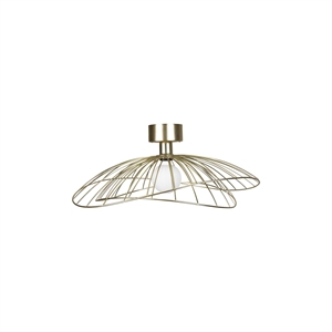 Globen Lighting Ray Plafondlamp/ Wandlamp Geborsteld Messing