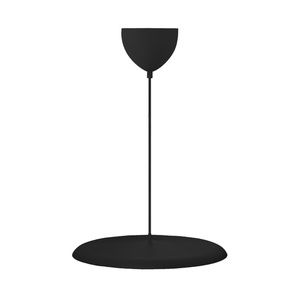 Design For The People Artist 40 Hanglamp Zwart