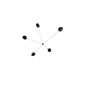 Serge Mouille Spider 5 vaste armen Wandlamp Zwart