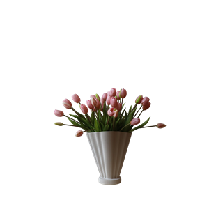 Botané Tulp Grand Bouquet Licht Roze