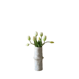 Botané Tulpenboeket Wit