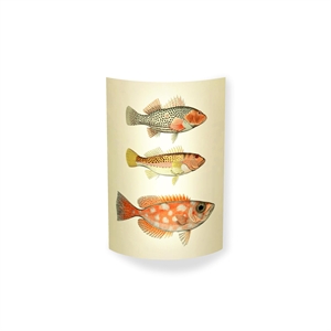 MagicoClaudio Moments Wandlamp 3 Vissen