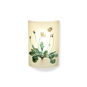 MagicoClaudio Moments Wandlamp Bellis Perennis